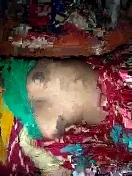 deshi girl 2007 online show from 04.16.26