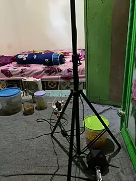 tukangcoli31 online show from 04.13.26