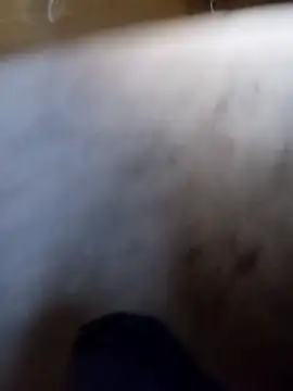 Snapshot of vrlarga chatting on 04.02.26 vrlarga online show from 04.02.26