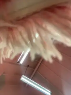 Victoria Vega   online show from 04.17.26