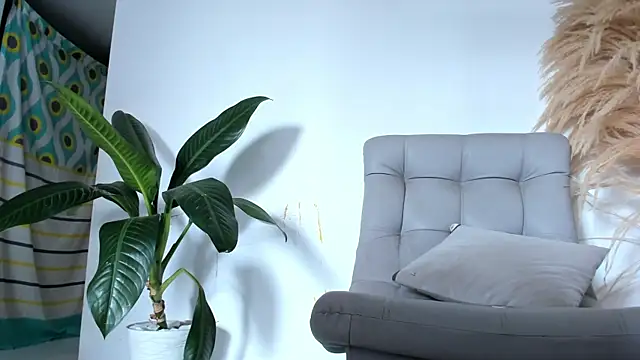 DakotaStills  online show from 05.04.26