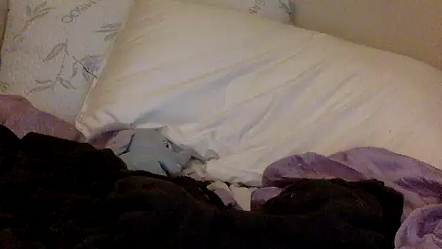 savannabanana online show from 03.26.26