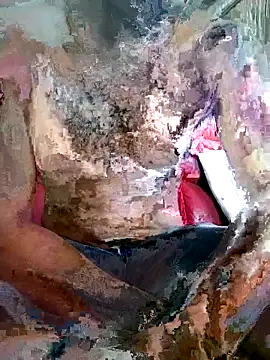 Snapshot of SteedyGee chatting on 03.27.26 SteedyGee online show from 03.27.26