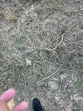 yingzi003 online show from 04.07.26