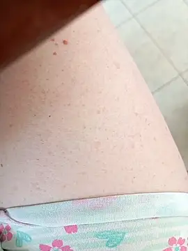 bela casadinhaa online show from 04.16.26