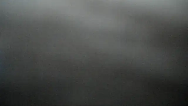 uma like online show from 04.29.26