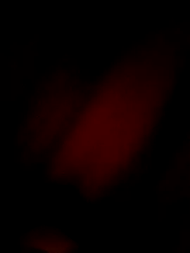 Eivar003 online show from 04.03.26