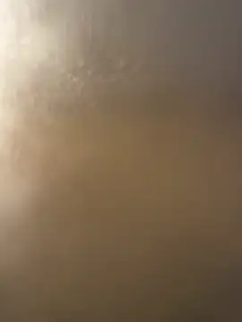 bfs128 online show from 04.05.26