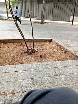 biga00 online show from 04.11.26