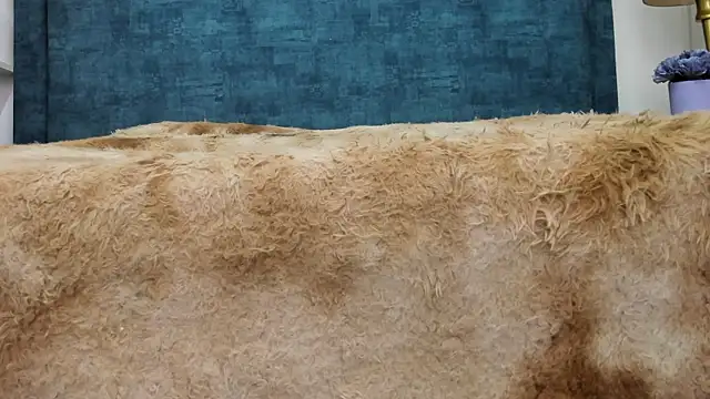 IsadoraVex online show from 04.14.26