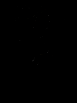 Rocky pune online show from 04.08.26