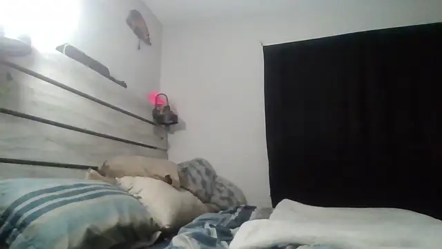zdaddymm online show from 06.29.26