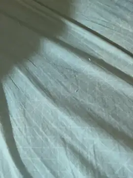 Pink-Tip-Bunny online show from 04.12.26