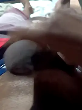 rogeriobastospqdt online show from 04.16.26