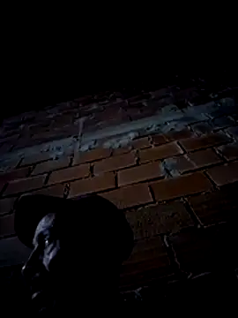 walide400 online show from 06.29.26