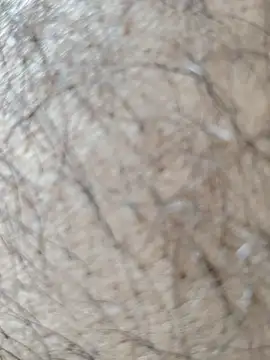 Virat75559 online show from 04.21.26