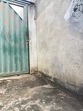 Eu line online show from 04.27.26