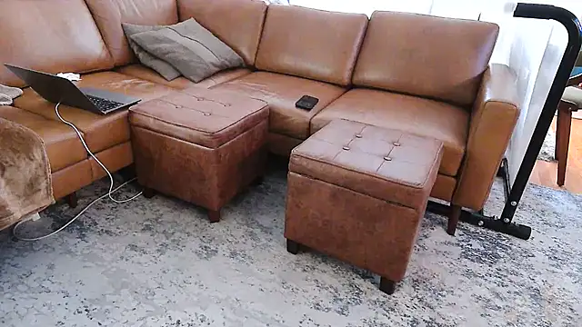 gaydandyboy online show from 05.26.26