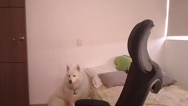 abbyyandmaxx online show from 06.24.26