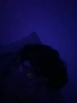 OoRobertooo online show from 05.01.26