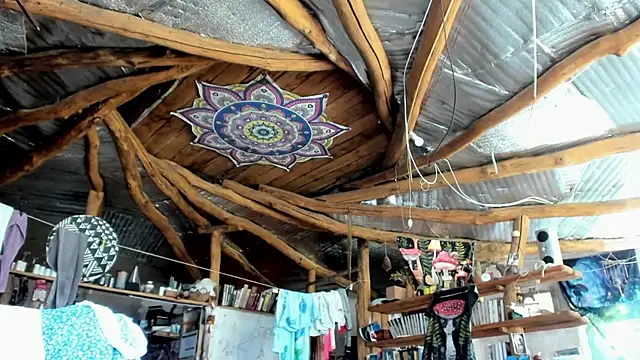 wildforestmuse  online show from 07.19.26