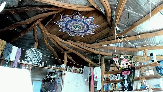wildforestmuse  online show from 07.26.26