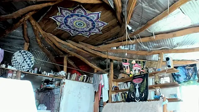wildforestmuse  online show from 07.28.26