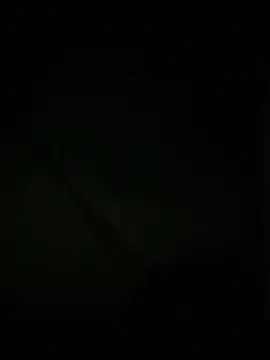 slutytransgal online show from 05.06.26