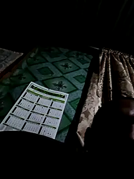 Camodick online show from 02.02.25