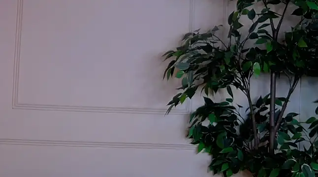 IvyLustt online show from 06.10.26