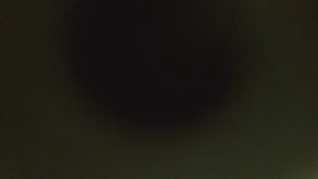 herpuppypeter online show from 05.15.26