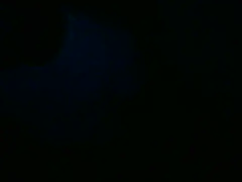 Snapshot of CasalNaore chatting on 05.27.26 CasalNaore online show from 05.27.26