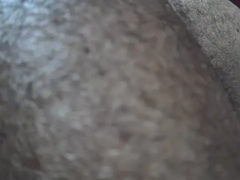 Snapshot of indiboy009 chatting on 03.14.25 indiboy009 online show from 03.14.25