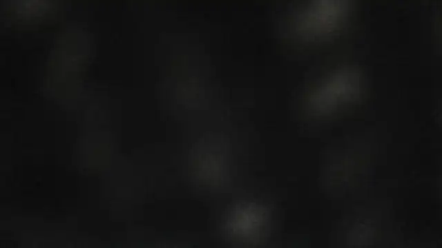 saullll     online show from 08.10.26