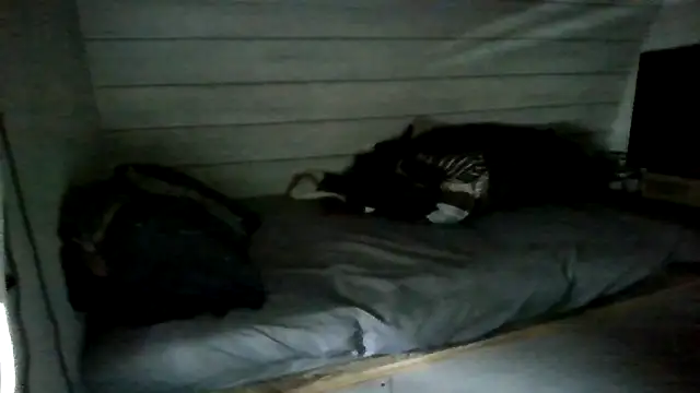 ThisGuy42o online show from 07.05.26