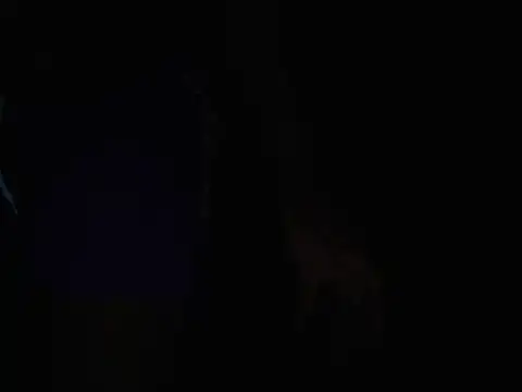 jwelbae online show from 08.07.26