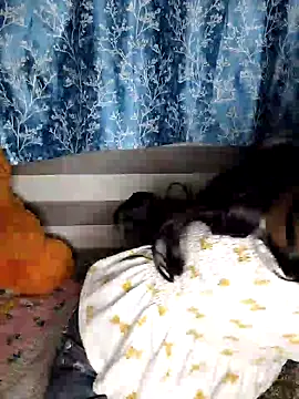 pinki-rani1 online show from 07.07.26
