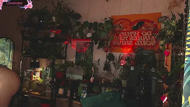 Dead Butterfly online show from 11.01.25