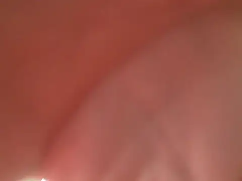 el principe hot online show from 11.11.25