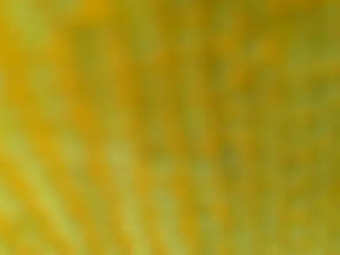 OGXXXOG online show from 03.16.25