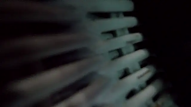 TEXASMARYYYJANE online show from 01.14.25