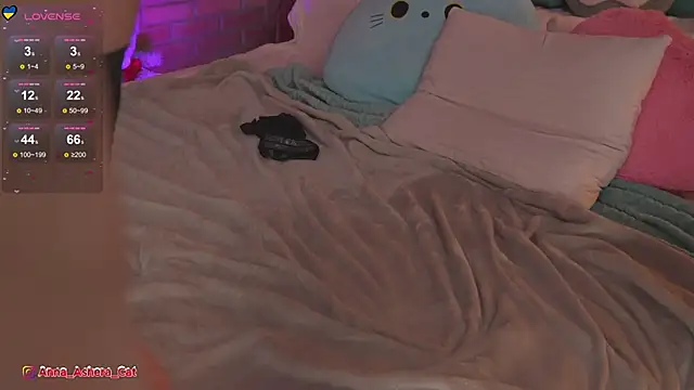 Ashera Cat online show from 02.18.26