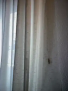 Chic desire online show from 03.20.26