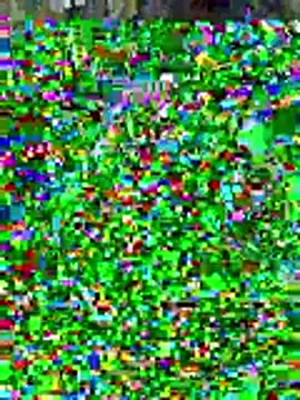 sissyvee online show from 01.15.26