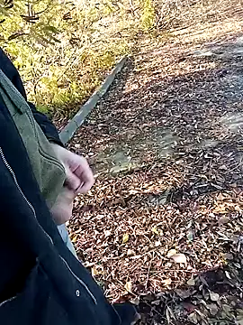 Snapshot of Pokaz2020 chatting on 10.27.25 Pokaz2020 online show from 10.27.25