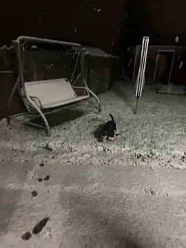 DannaaMeliza online show from 01.09.25