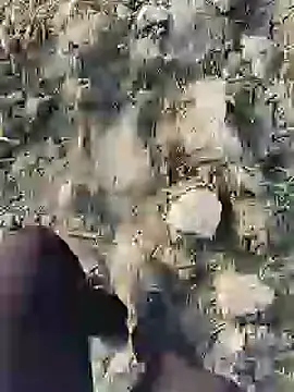 ThethunderPo online show from 01.19.25