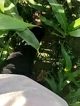 ThethunderPo online show from 03.19.25