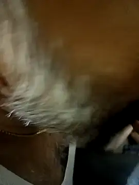 bossno2596 online show from 04.22.26