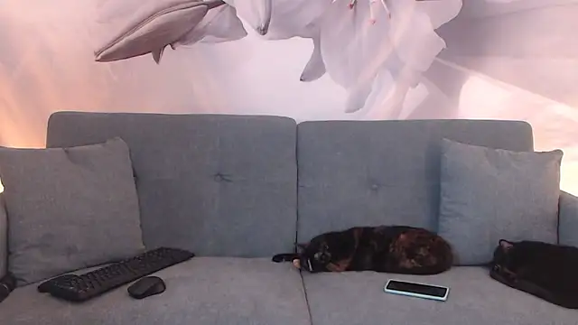 sofiasteven online show from 03.13.26